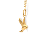 Cadena con colibrí vista cercana